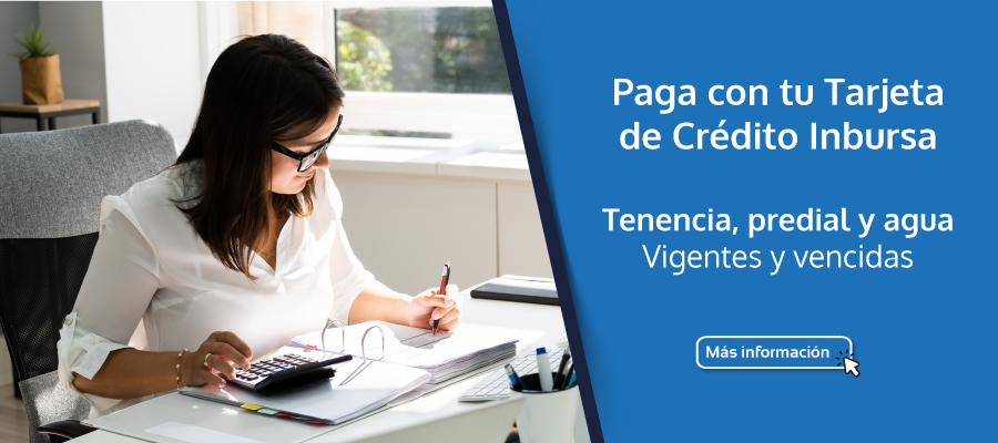 B Pago de impuestos 2025